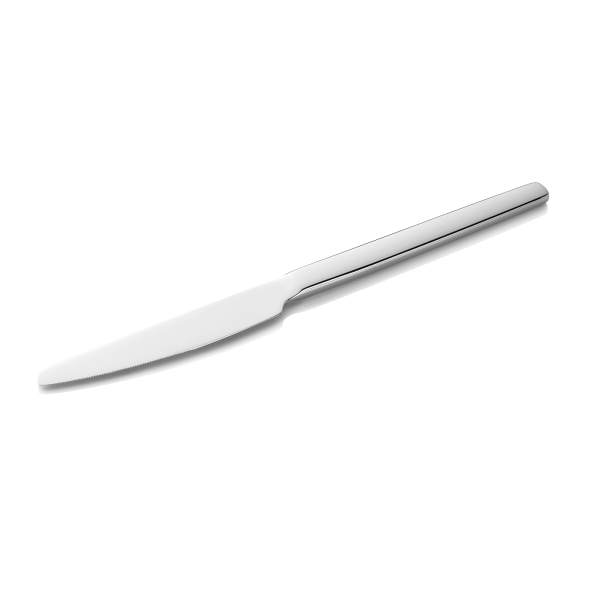 Couteau de table acier chromé 13/0 - série Alex Silver (lot de 12)