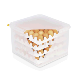 Boîte à œufs HACCP - GN 2/3