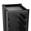 Chariot à plateaux GN 1/1 en MDF noir - 10 plateaux GN