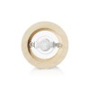 Moulin à sel en bois mat vernis - 15 cm