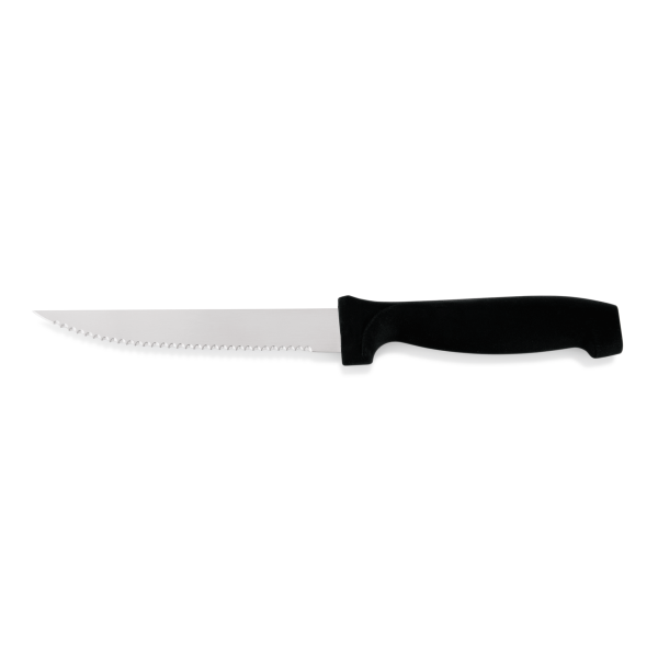 Couteau à steak inox manche plastique - L. 22 cm - Lame 11 cm (lot de 6)