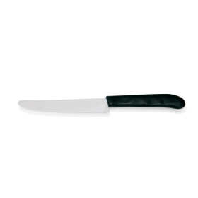 Couteau à steak inox manche polypropylène - L. 22 cm - Lame 11 cm (lot de 6)