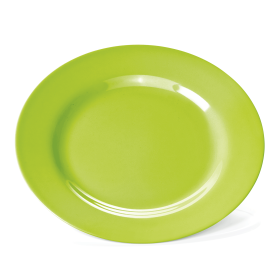 Assiette plate en mélamine verte - Ø 23 cm (lot de 12)