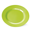Assiette plate en mélamine verte - Ø 23 cm (lot de 12)