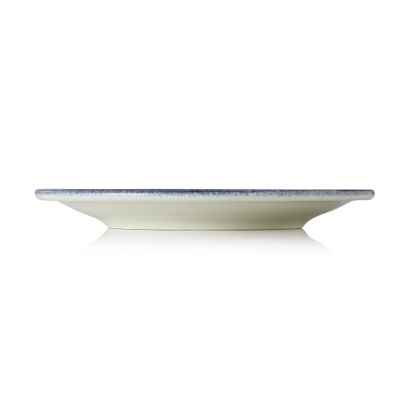 Assiette plate en porcelaine série Vida Marina - Ø 23 cm (lot de 6)